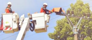 Výzva Zsl.distribučná